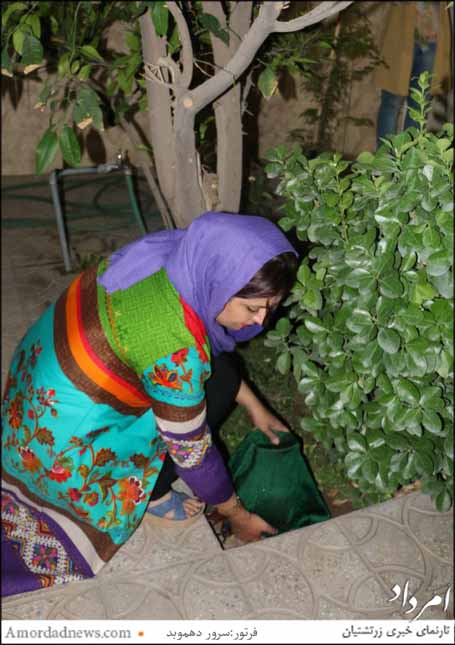 شب چهارشنبه سوری کوزه را با پارچه سبز می پوشاندند و آیینه ای روی آن قرار می دادند و آن را زیر درخت موری می گذاشتند